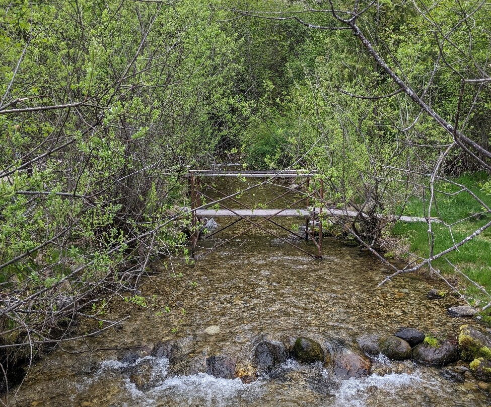 Kokanee Creek Provincial Park景点图片