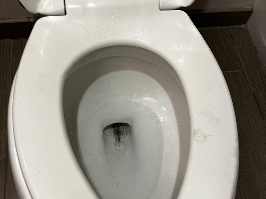 伊尔芬/奥兰治县机场希尔顿花园酒店主图