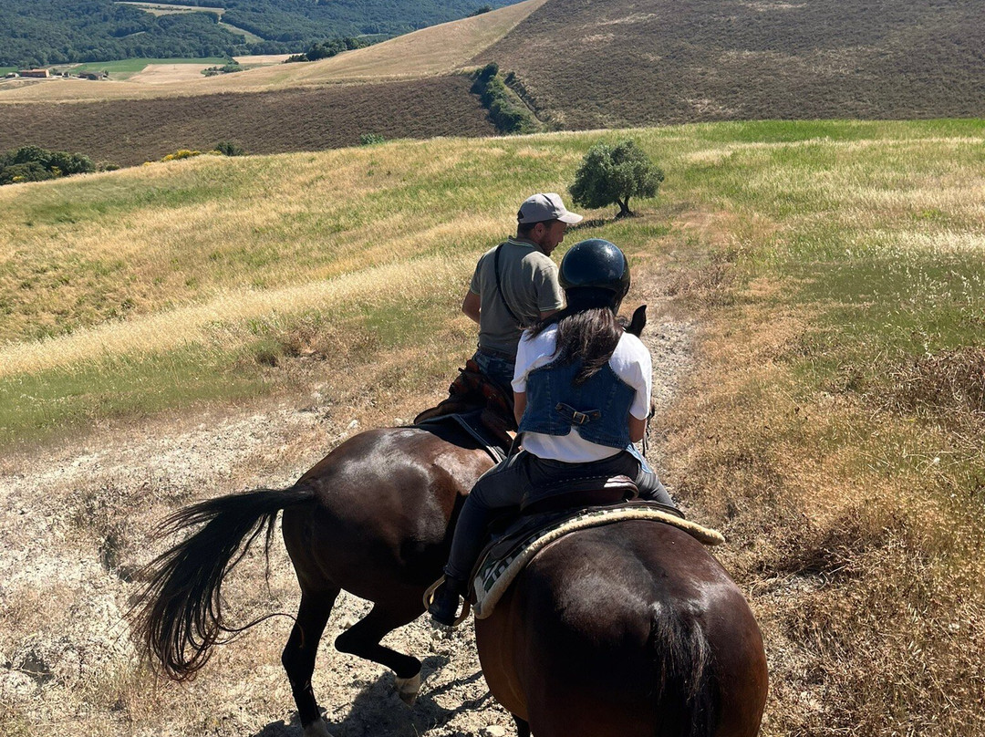 Centro Equestre Samarcanda-沃尔泰拉必去景点