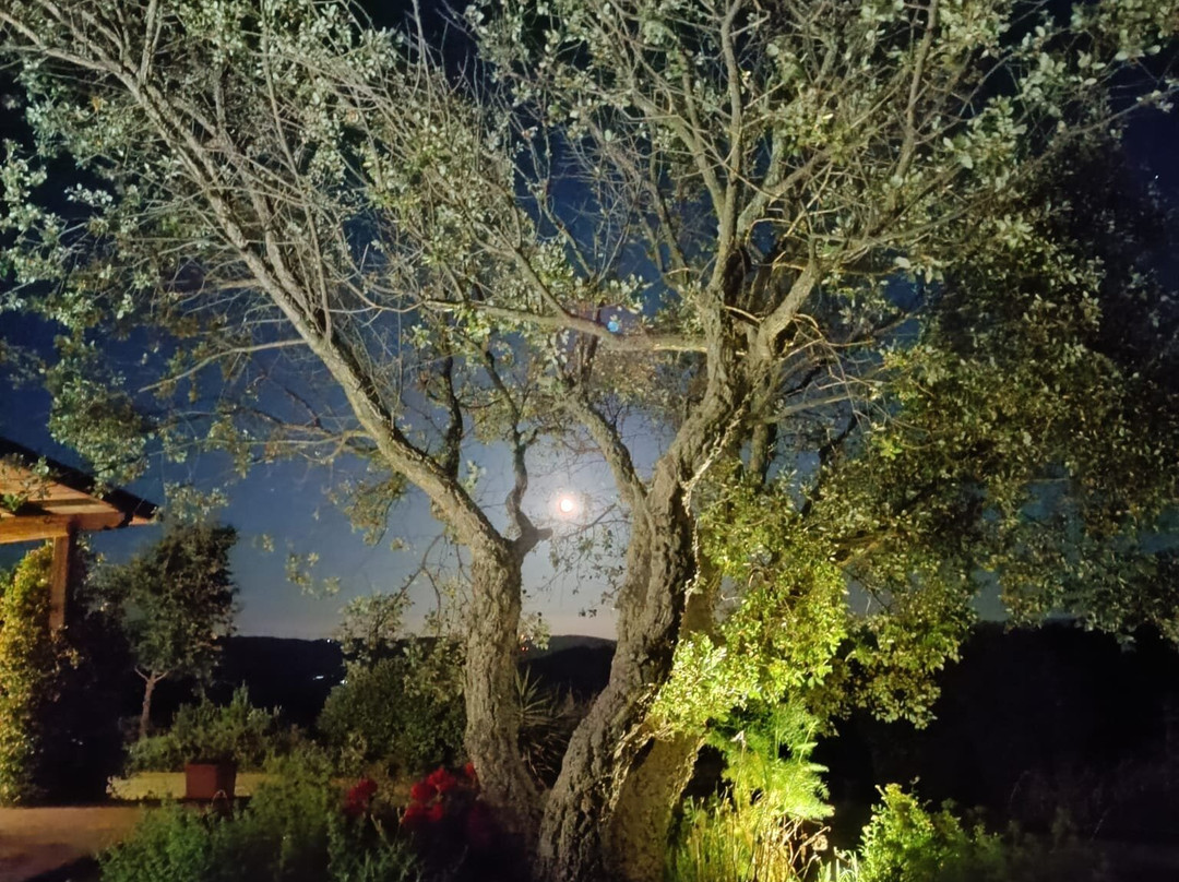 Agriturismo Sugheretello主图