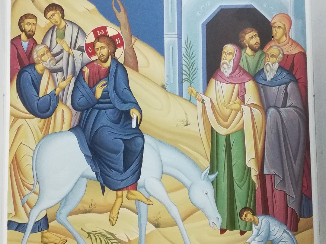 Cattedrale di Maria Santissima Achiropita景点图片