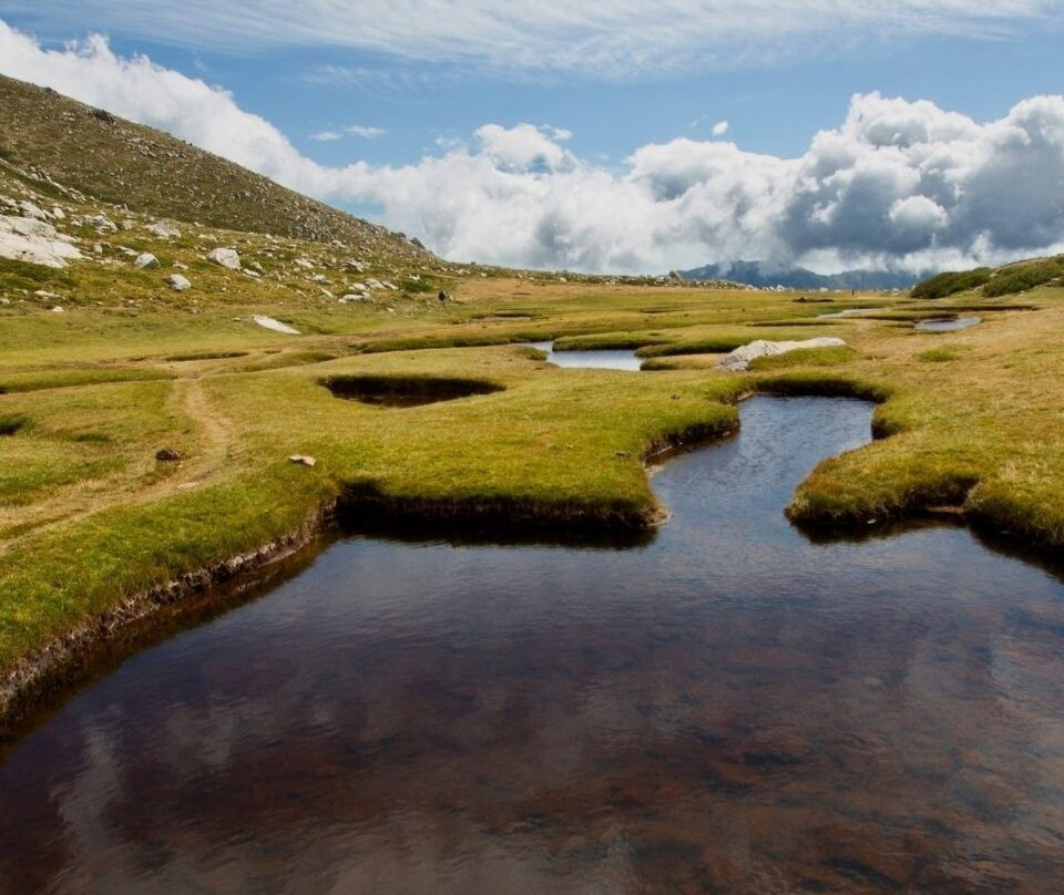 Corsica Natura景点图片