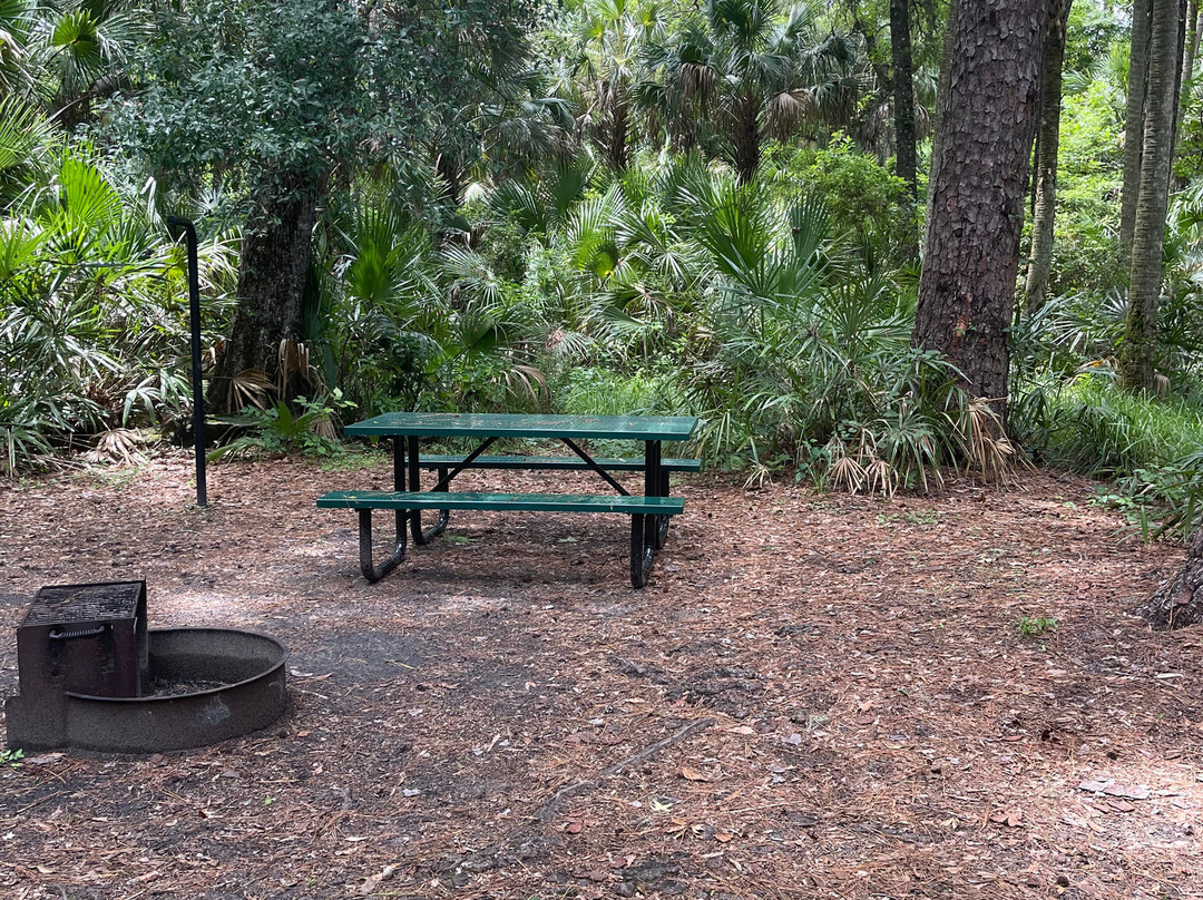 Juniper Springs-奥卡拉必去景点