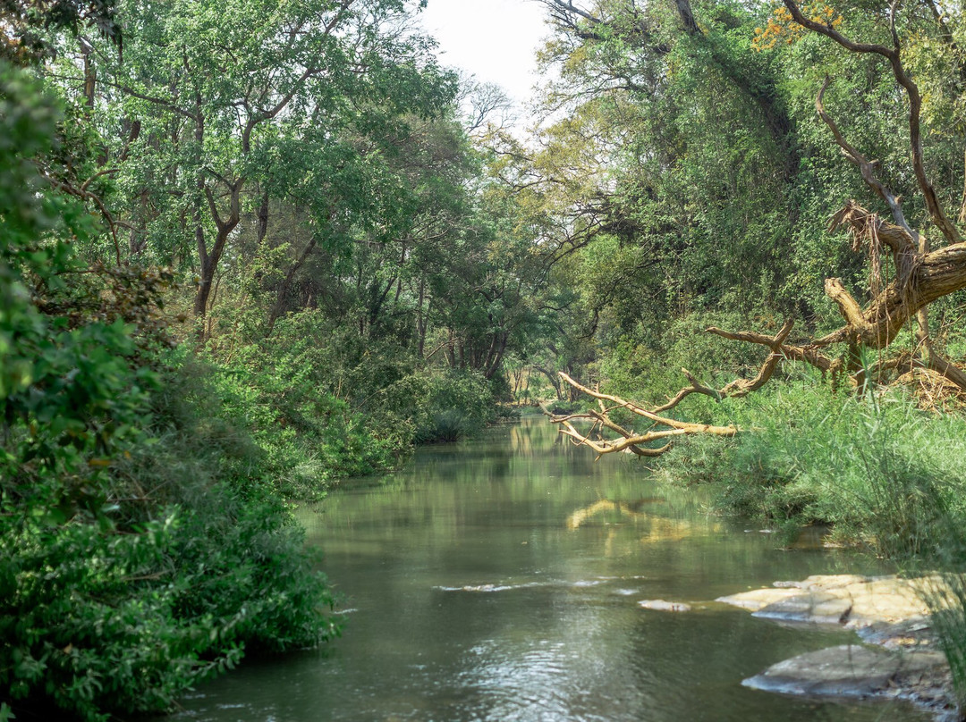 Lilongwe Wildlife Centre景点图片