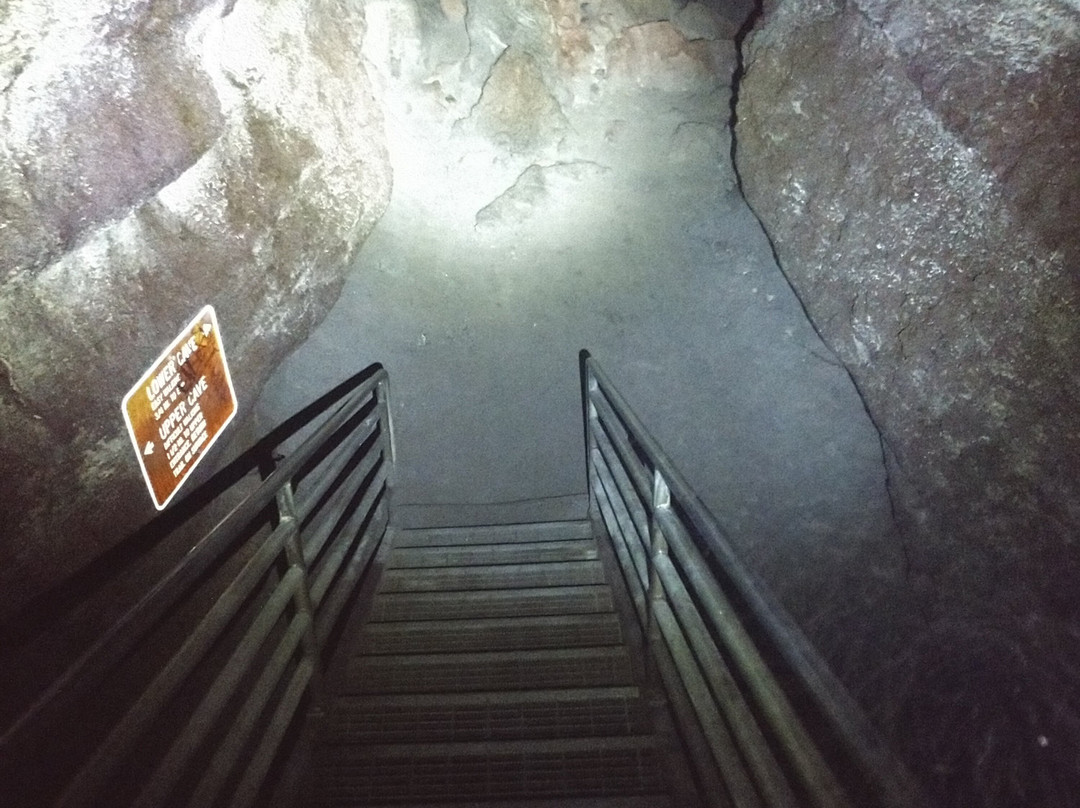 Ape Cave Lava Tubes景点图片
