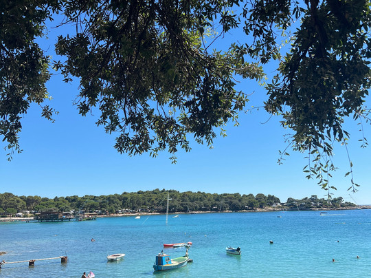 BIG MAMA KAYAK TOURS-普拉必去景点