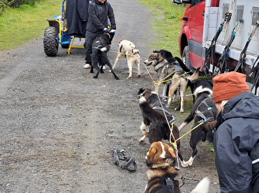 Sjusjoen Husky Tours景点图片