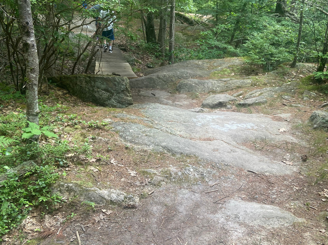 Pulpit Rock-East Burke必去景点