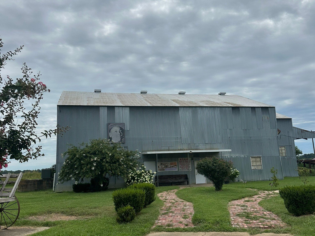 Emmett Till Interpretive Center景点图片