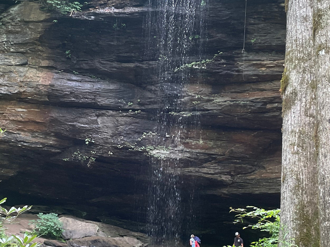 Mountain Inn & Suites Flat Rock主图