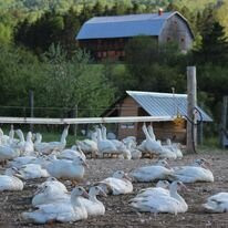 La Ferme Basque de Charlevoix-Saint Urbain必去景点