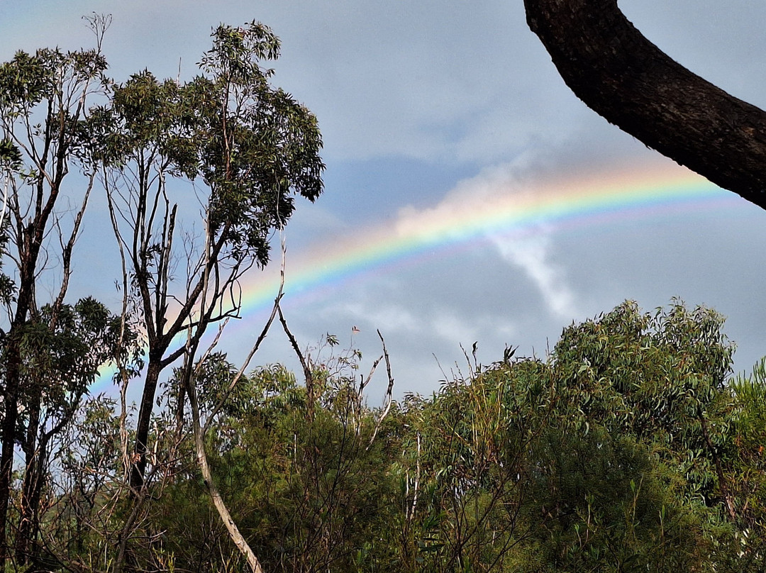 Staples Lookout-Woy Woy必去景点