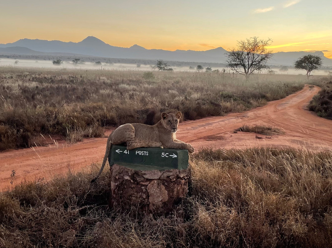 Safari Mapeka-瓦塔木必去景点