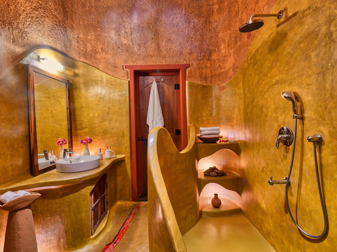 The Earth at Ranthambore主图