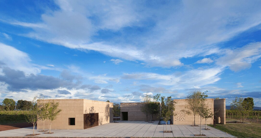 Vinedos Cuna de Tierra景点图片