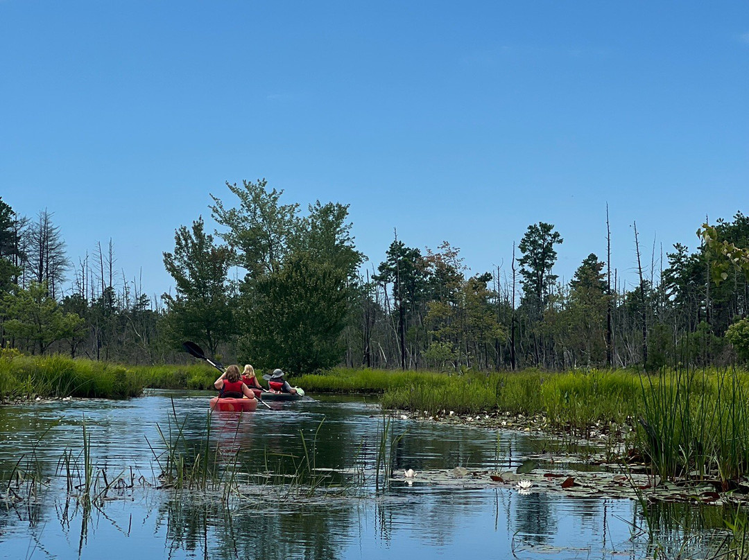 Pinelands Adventures景点图片