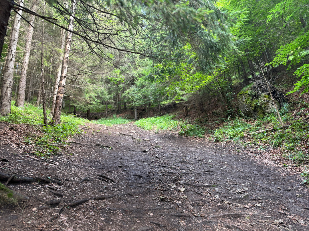 Via Ferrata Dve Veze (two Towers)-Liptovske Revuce必去景点