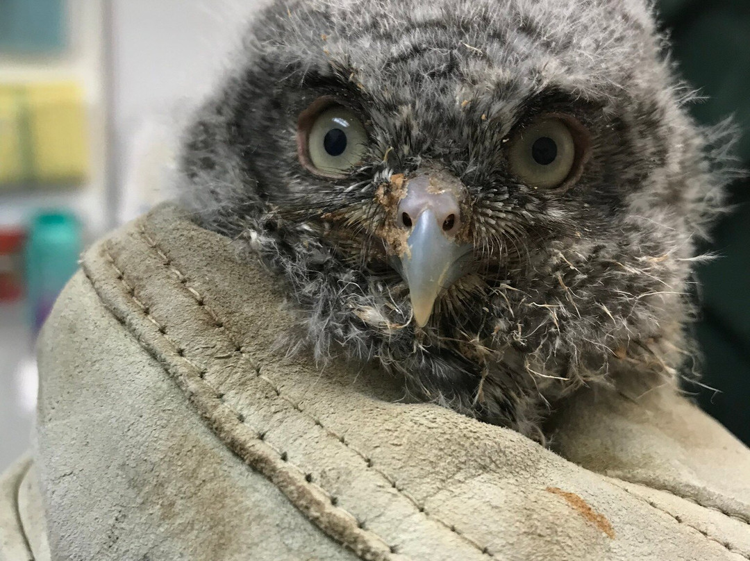 Howell Nature Center-Howell必去景点