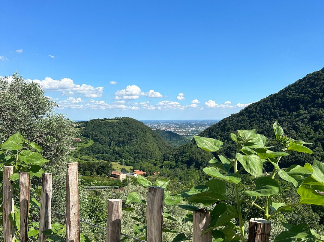 Il poggio del sole