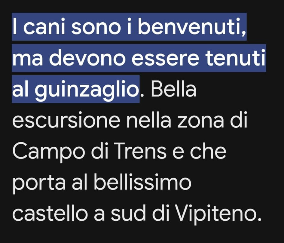 Reifenstein Castle (Castel Tasso)-Campo di Trens必去景点