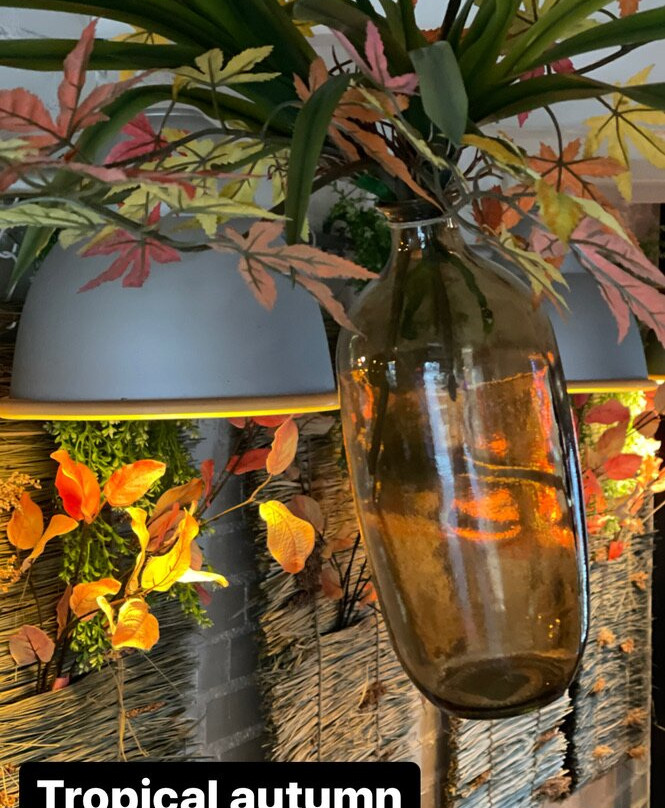 Secret Cafe景点图片