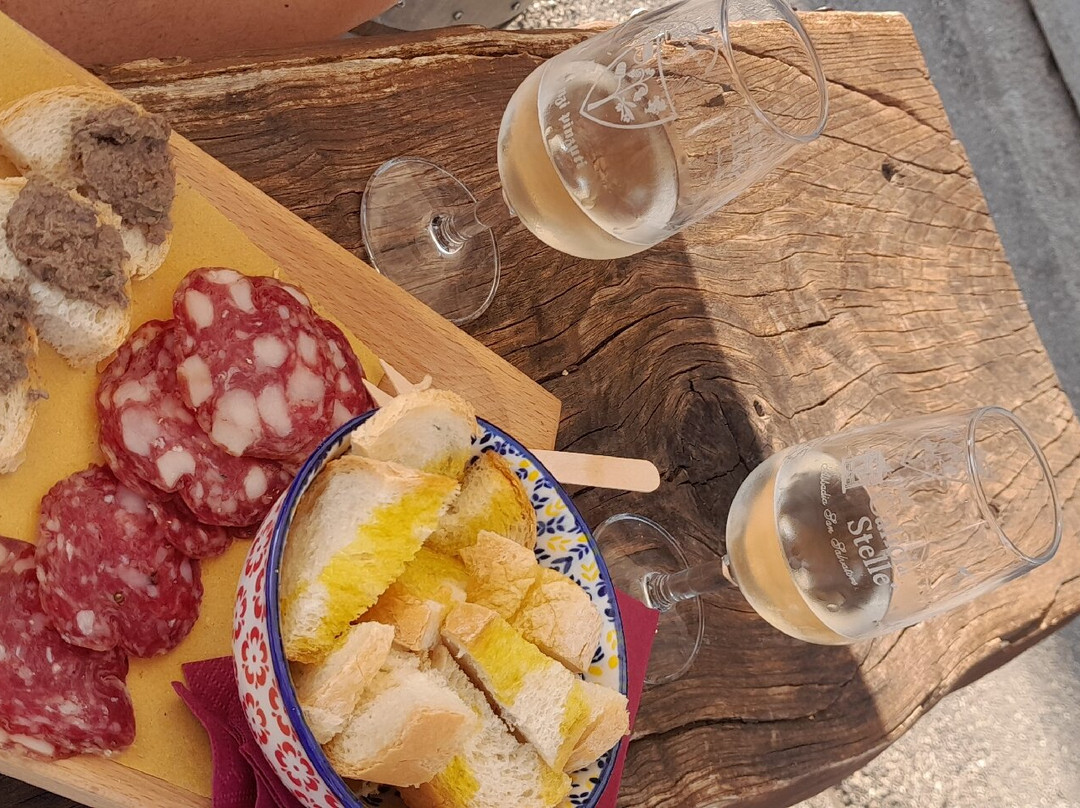 Azienda Pinzi Pinzuti景点图片