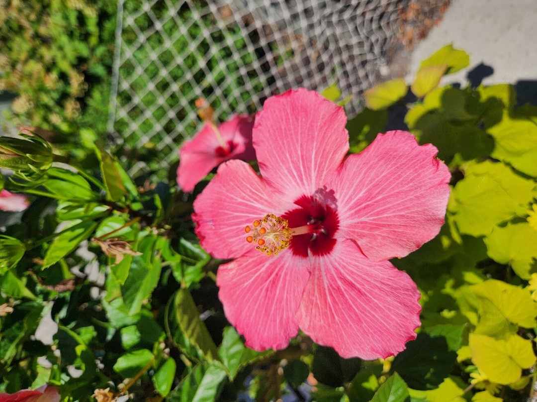 Zoombezi Bay-Powell必去景点