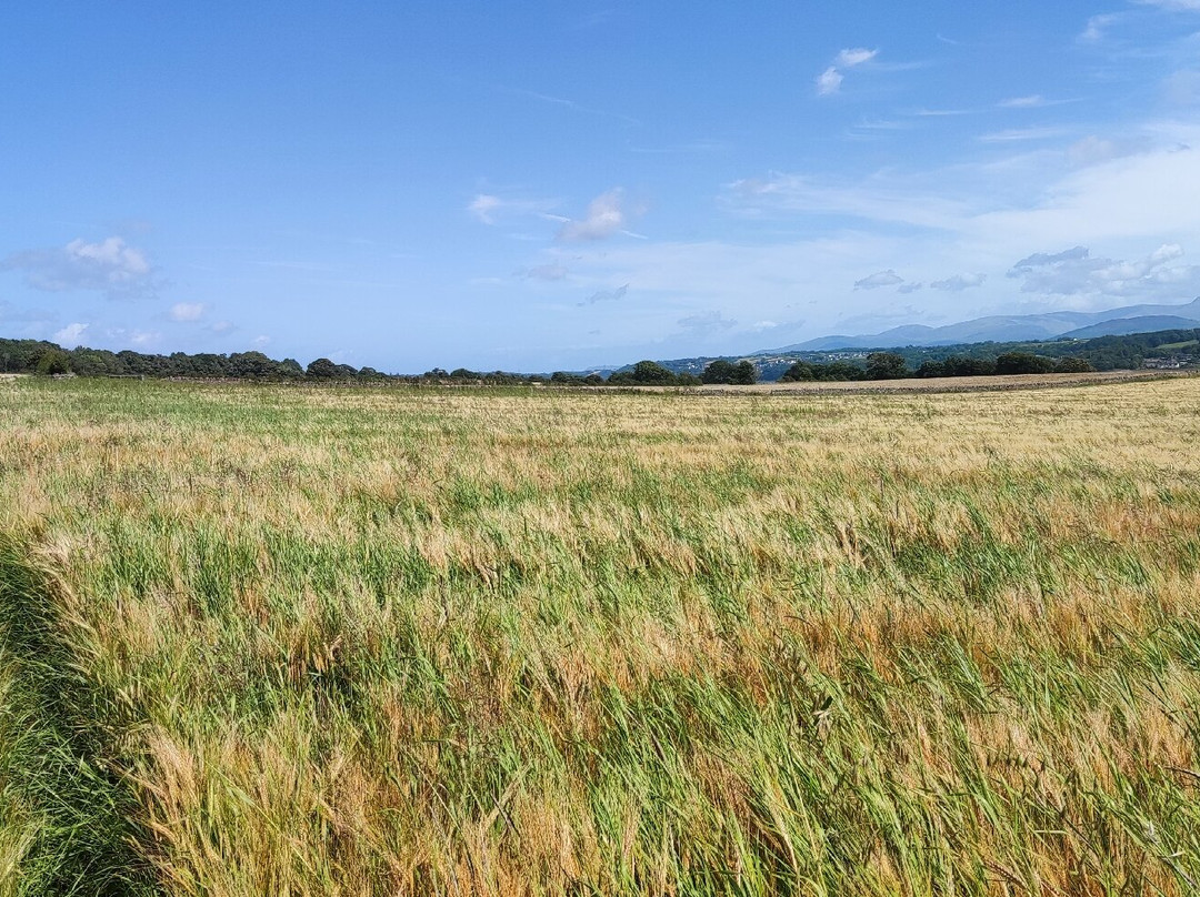 Anglesey And Wales Walking Holidays景点图片