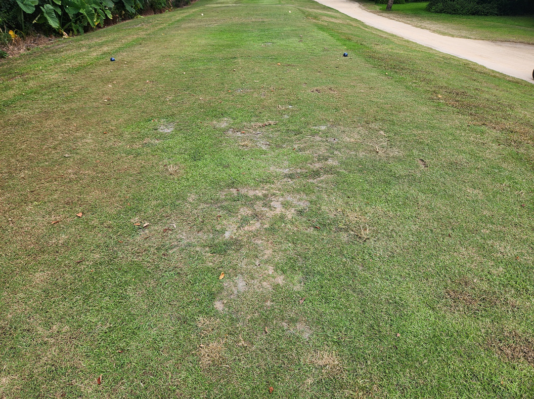 Spruce Creek Country Club景点图片