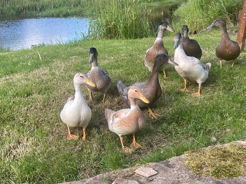 卢温欧恩旅馆主图