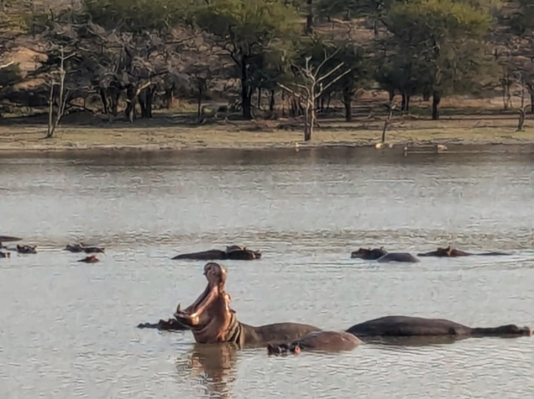 Makubi Safari Camp by Isyankisu-Mwaseni必去景点