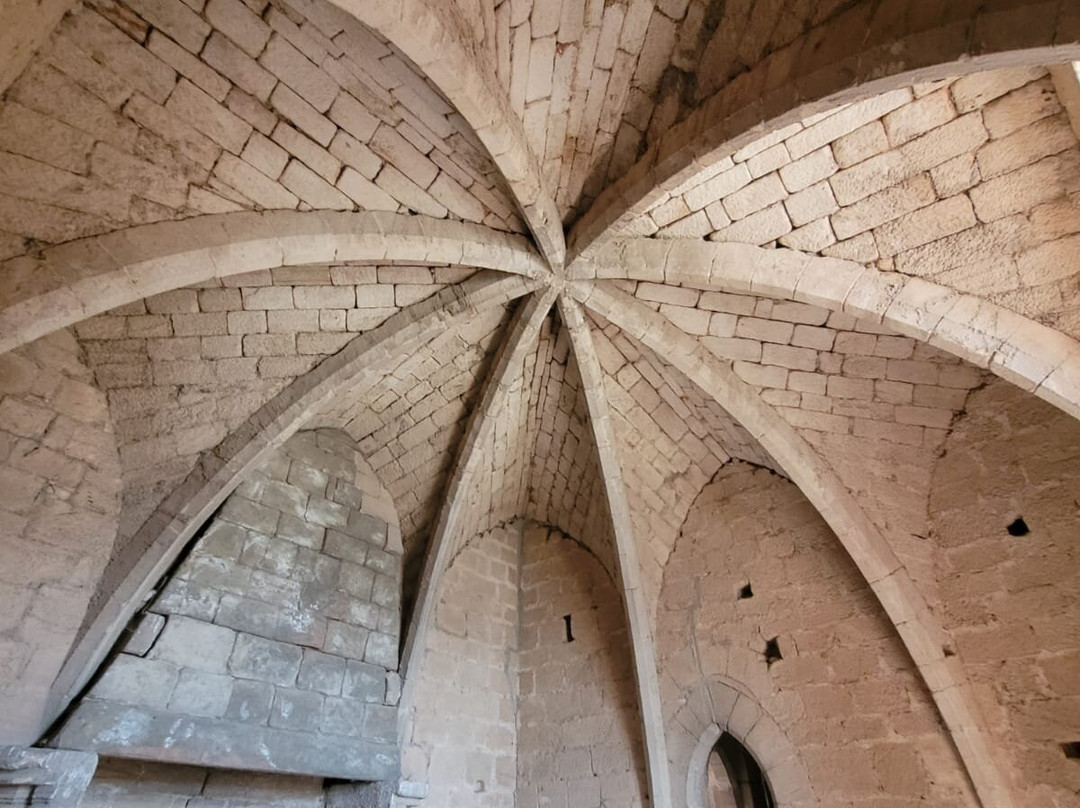Chateau d'Arques景点图片