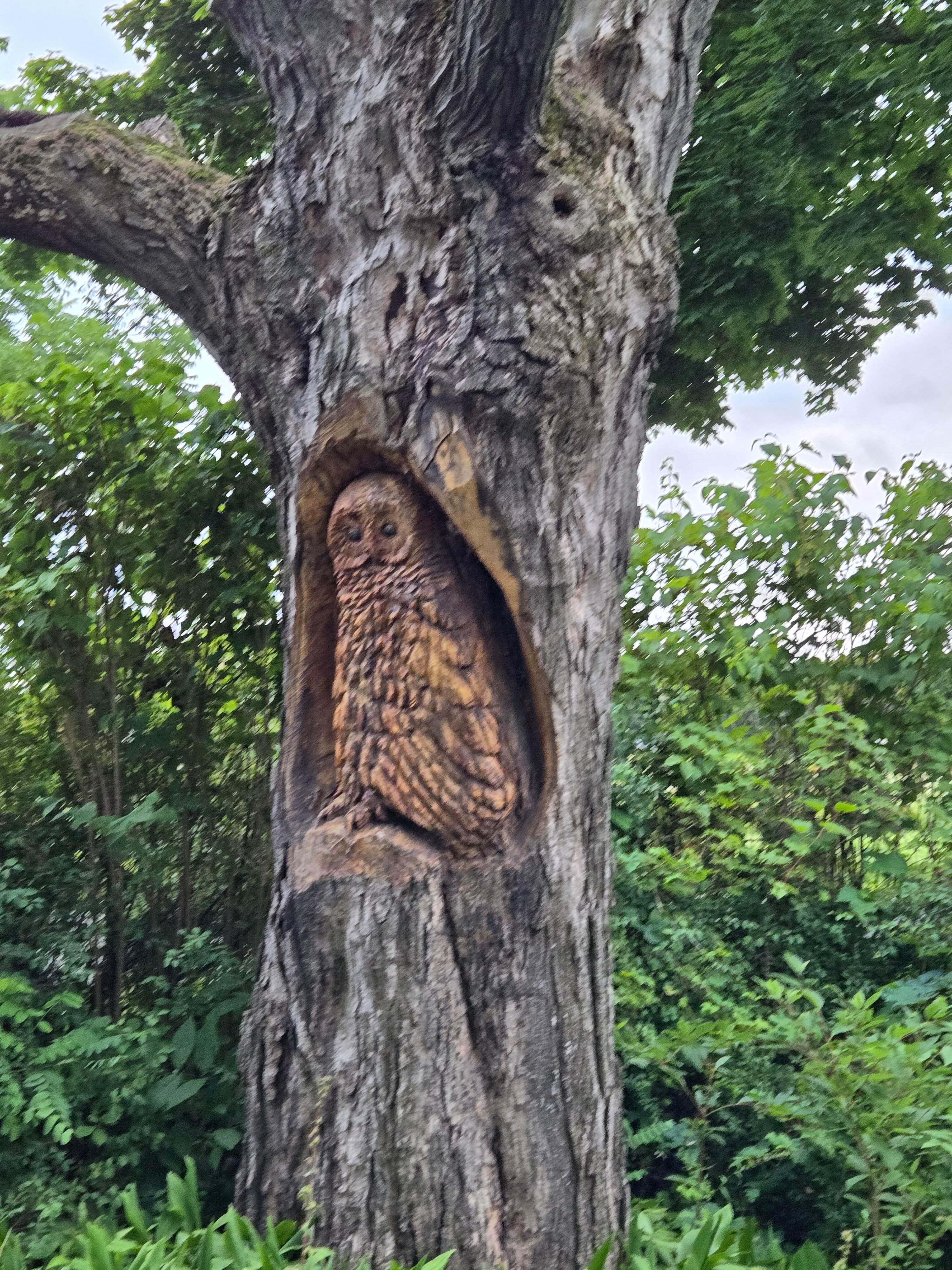 Enfield Manor Bed and Breakfast-浴室