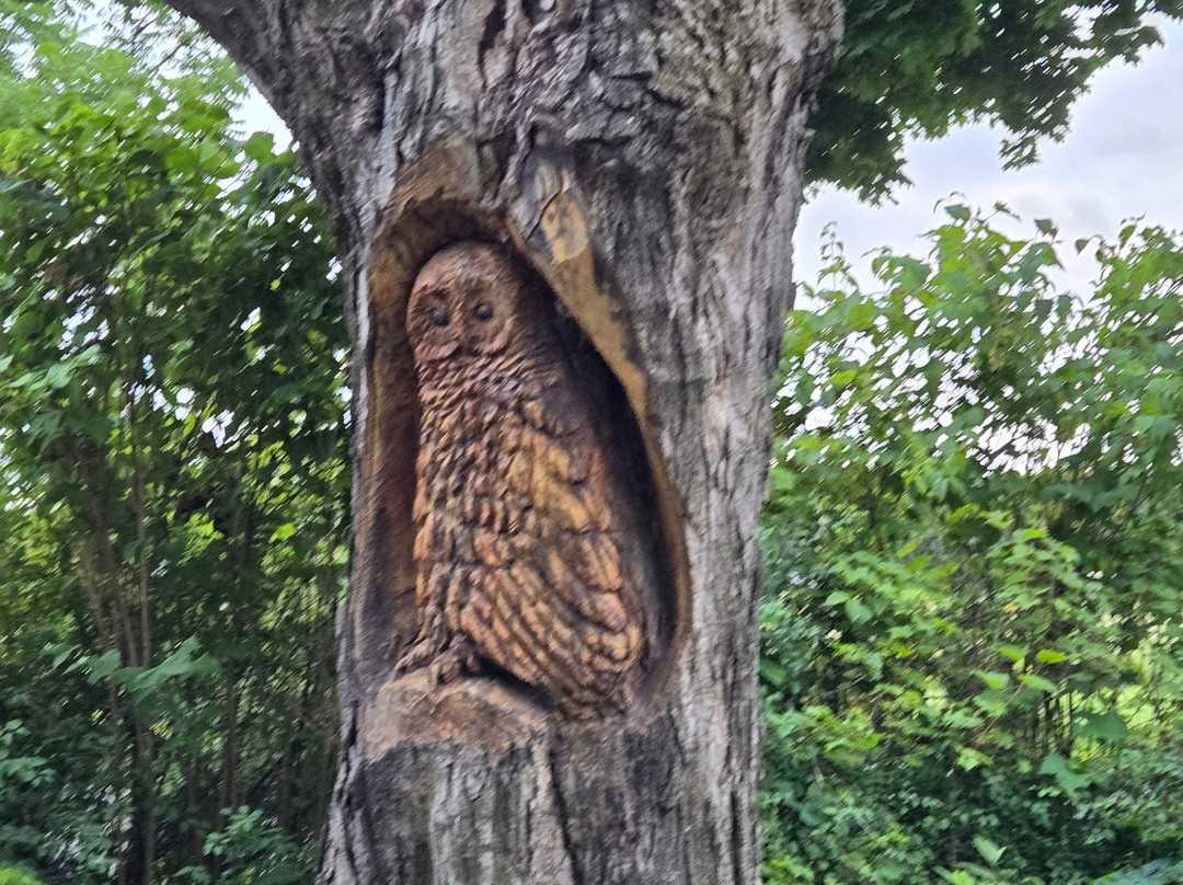 Enfield Manor Bed and Breakfast主图