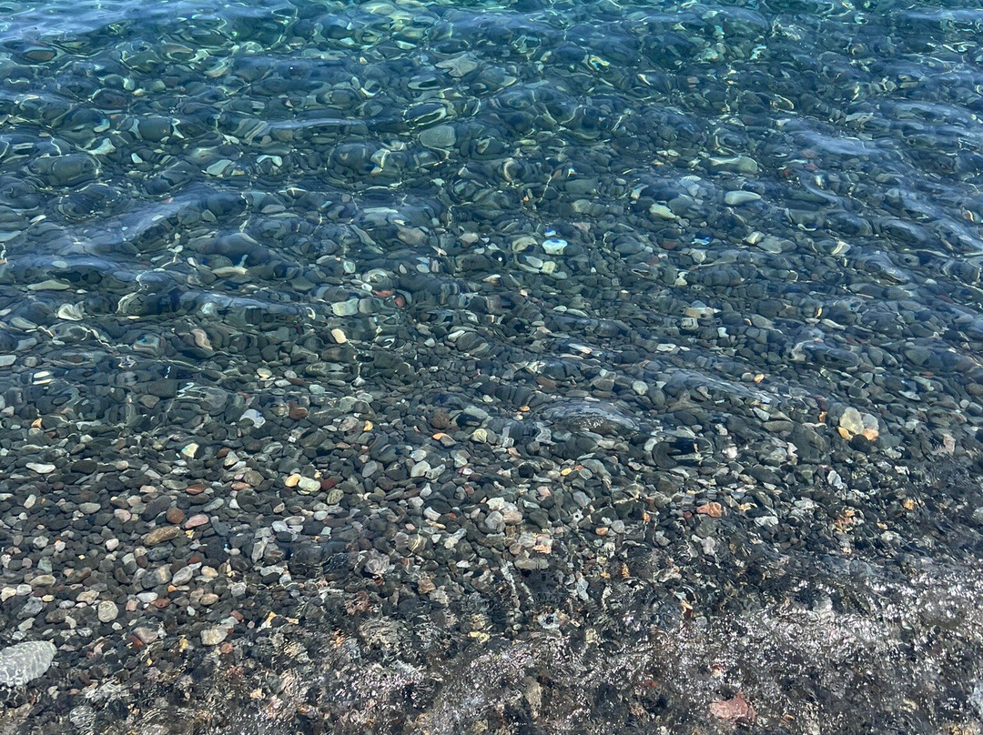 Spiaggia Papesca景点图片