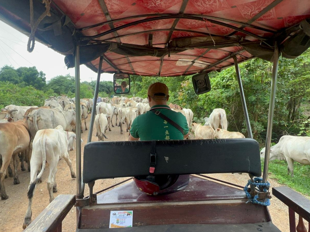Pao Tuk Tuk Experience Battambang-马德望必去景点