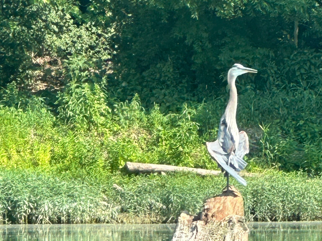 Green Acres Kayak Rental-Harrison必去景点