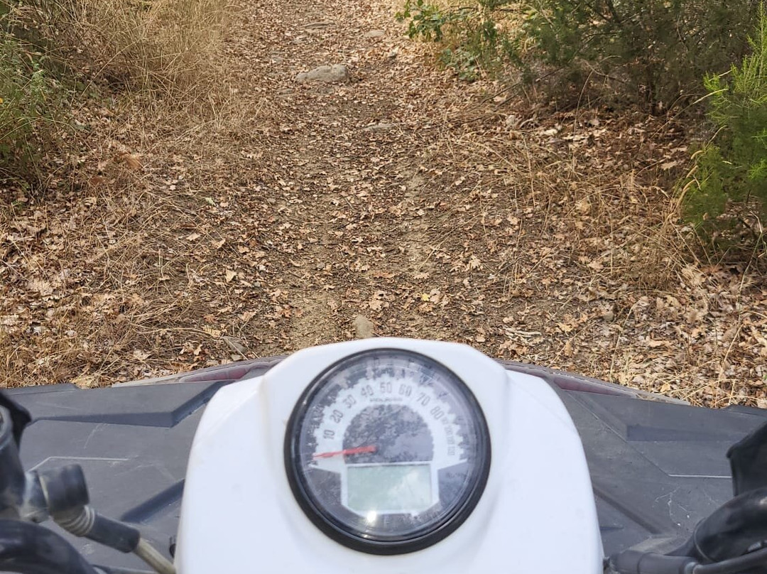 Crazy Quad Toscana景点图片