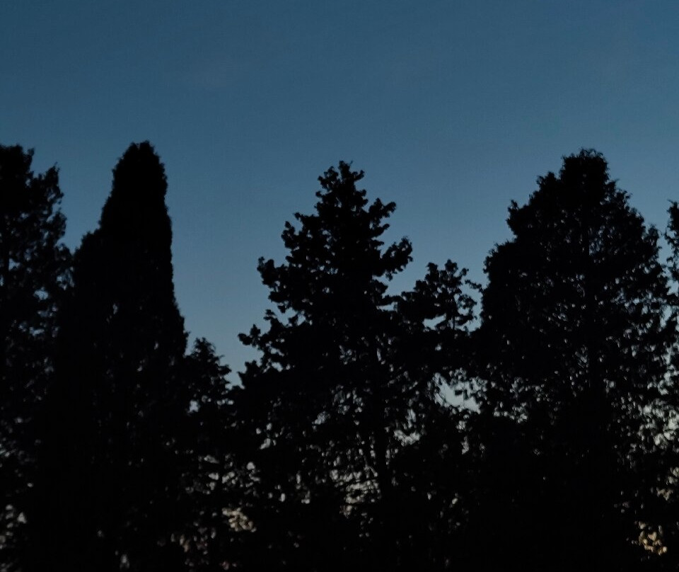 Fattoria Poggio Alloro景点图片