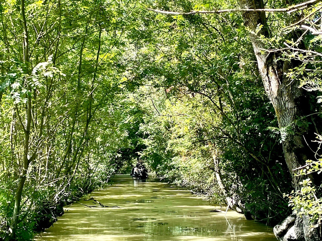 Les Oiseaux du Marais Poitevin景点图片