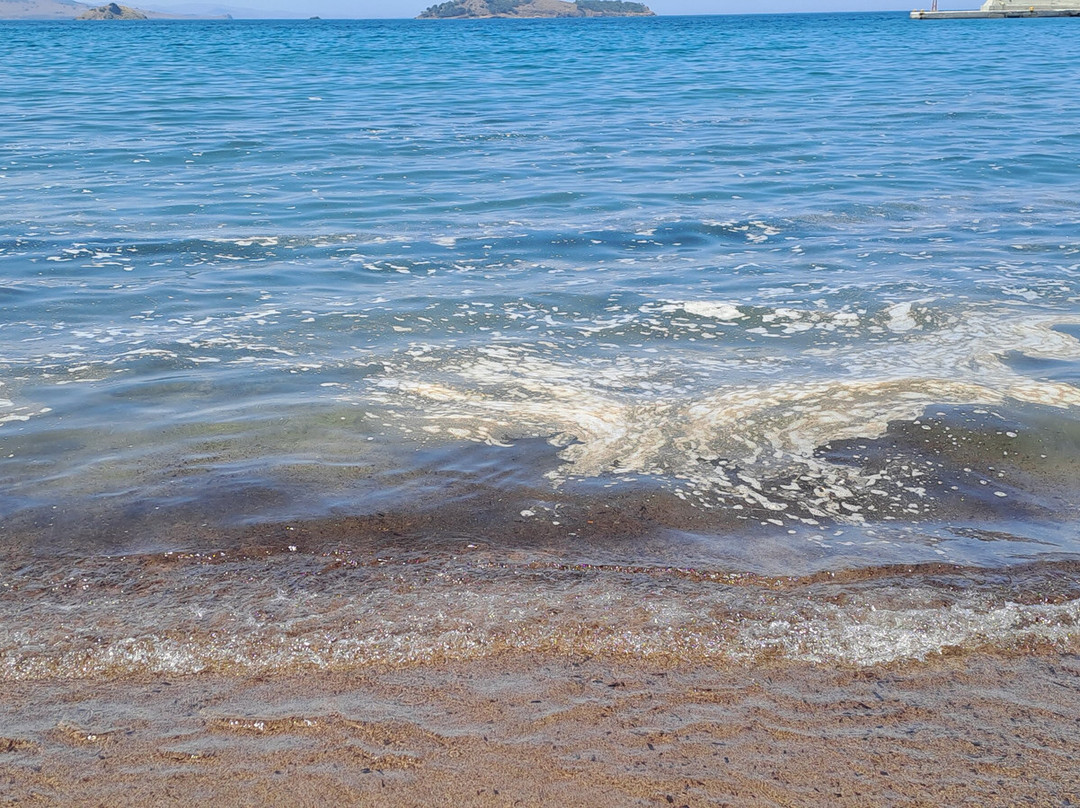 Petra Beach-Petra必去景点