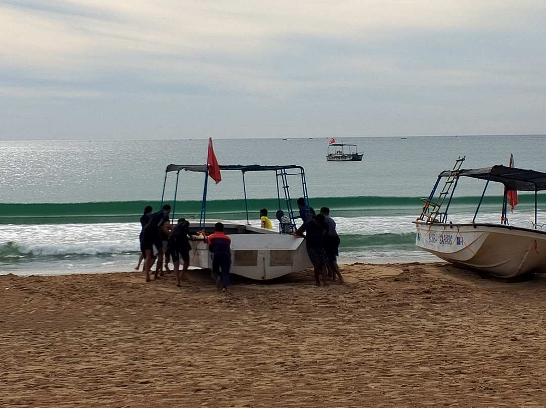 Scuba Safaris Trincomalee-Trincomalee必去景点