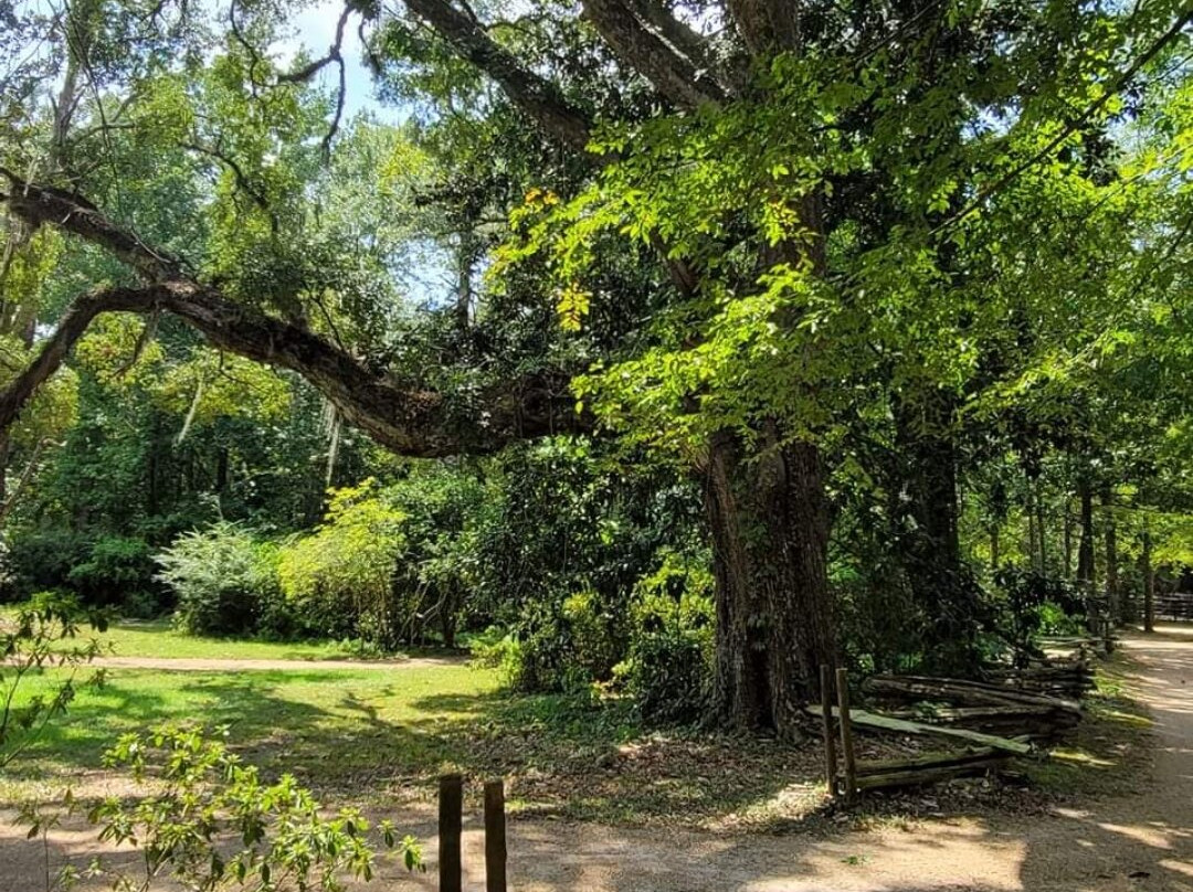 Rosemont Plantation-Woodville必去景点