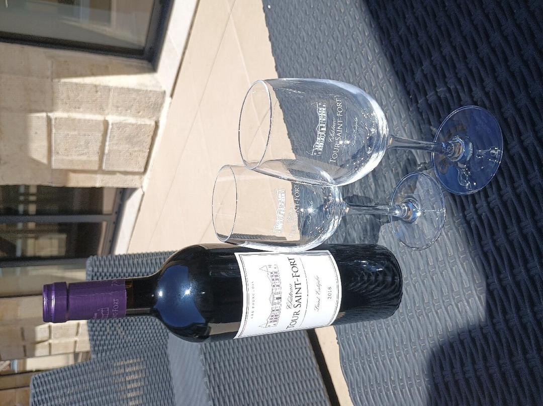 Chateau Tour Saint-Fort Chambre D'Hotes主图