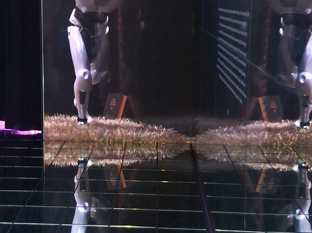 Museum of Contemporary Art Busan-釜山必去景点