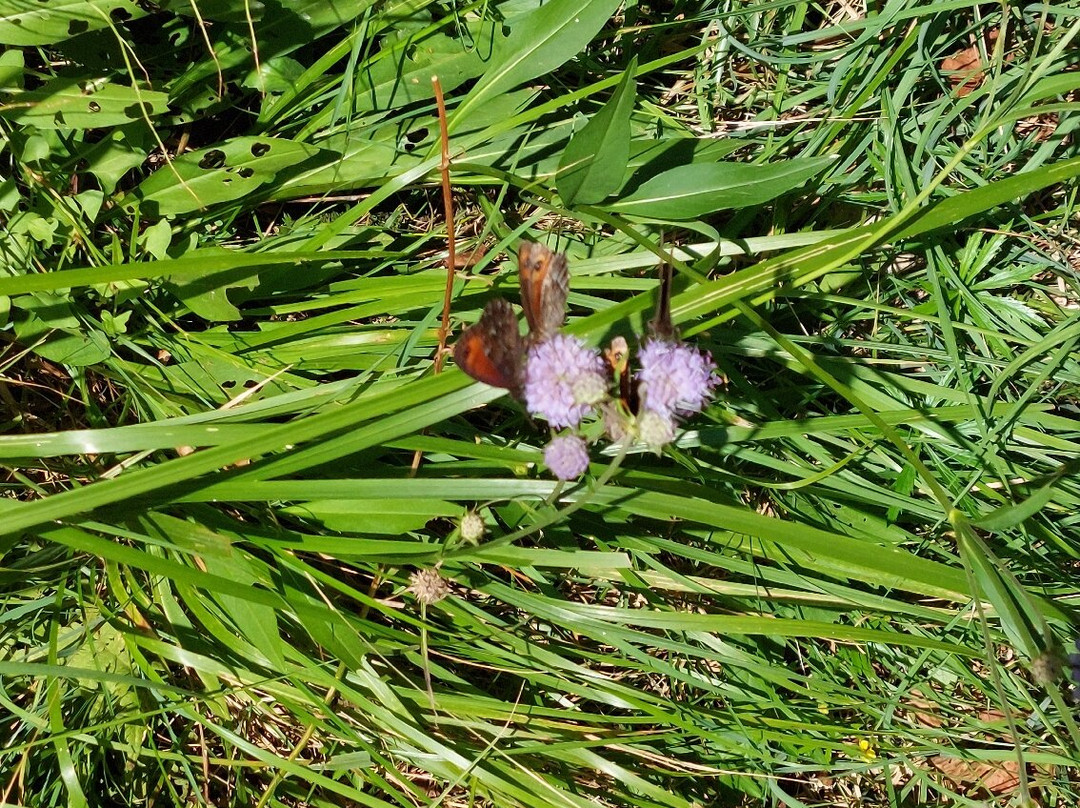 Parco Naturale dell'Alta Valle Antrona-Antrona Schieranco必去景点