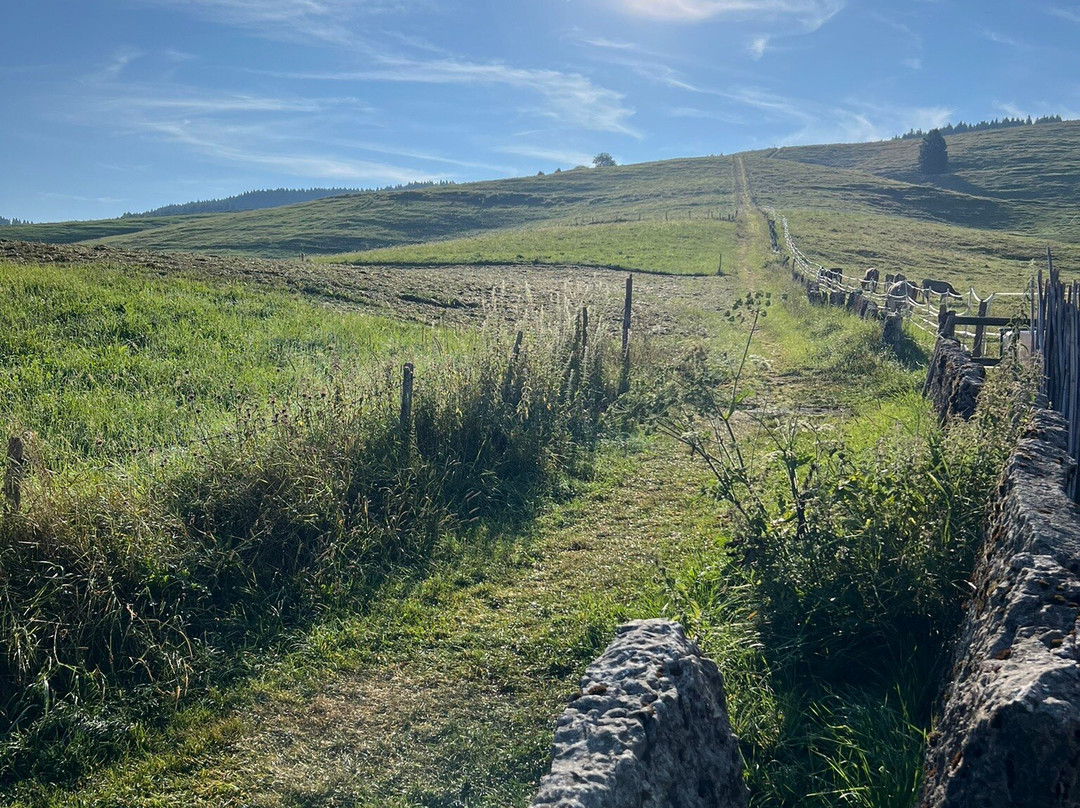 B&B Ai Tre Larici主图