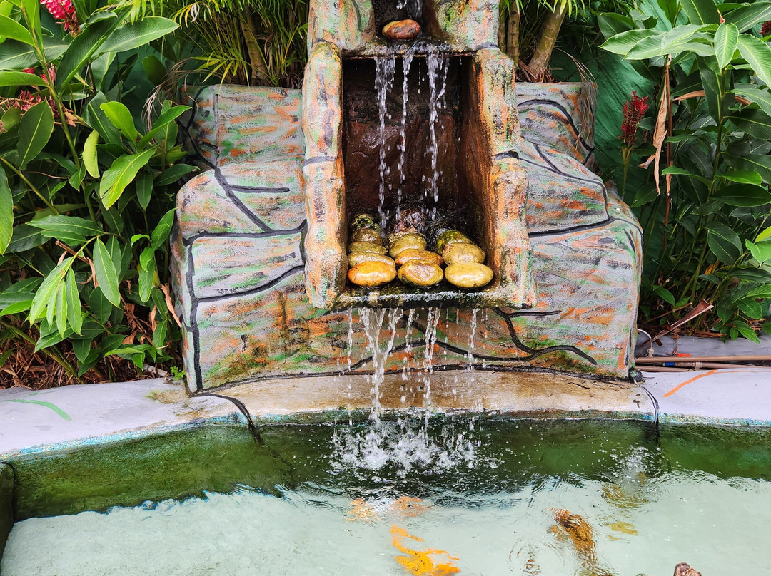 Pousada Aruans Casarão主图