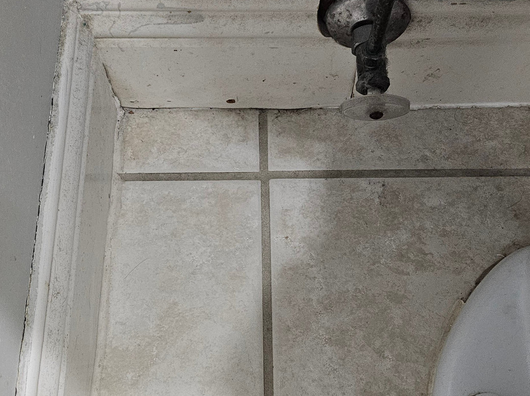 Fernie Stanford Waterslide Resort主图