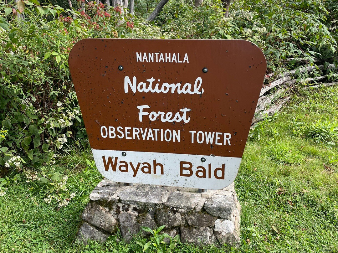 Wayah Bald Lookout Tower景点图片